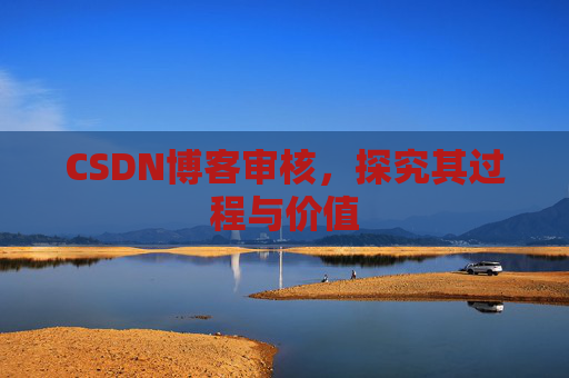 CSDN博客审核，探究其过程与价值